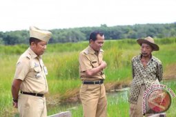 Wabup Tinjau Tanaman Padi Petani Tergenang Air