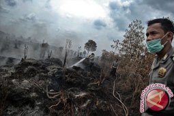 Adu teknologi Indonesia dan asing di lahan gambut