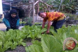 Dinas Pangan Kabupaten Bangka Manfaatkan Lahan Kantor