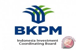 Pemerintah dukung investor global bangun kawasan industri