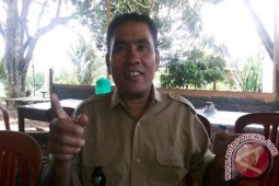 Harga Kakao dan Getah Turun