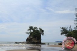 Muara Batang Gadis Miliki Sejumlah Potensi Wisata