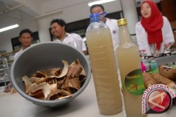 Gula Cair Kulit Singkong Buatan Alumni IPB Rambah Pasar