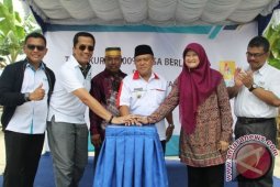 Seluruh Desa di Babel Sudah Teraliri Listrik
