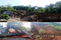 Saksi: Mayoritas Korban Hilang Sedang Panen Jahe
