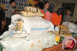 Polair Papua Tangkap Warga PNG Pengedar Ganja