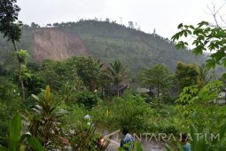 Ahli: Tanaman Ikut Pengaruhi Penyebab Longsor Ponorogo