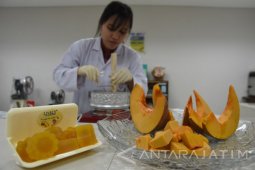 Sabun Dari Buah Labu