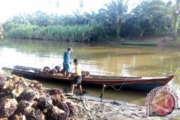 Hanya Perahu Transportasi Angkut Komoditi Petani