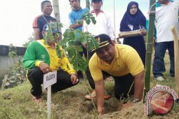 Pemkot Ajak Seluruh Elemen Pelihara Pohon