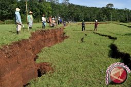BPBD: 1,5 Hektar Tanah Ambles di Banyumas, Empat Rumah Rusak