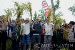 Wagub Jatim Minta Petani Berperan Wujudkan Ketahanan Pangan