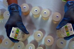 Terri Dukung Tes Urine Anggota Dewan Sintang