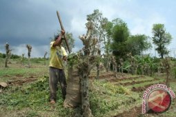 Bagi Yang Suka Masuk Angin, Coba 5 Cara ini