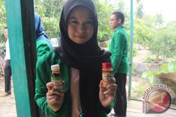 Artikel : Tambang Baru Tapin itu bernama cabai hiyung