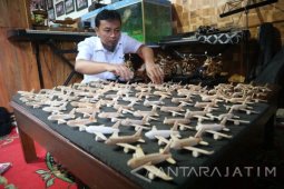 Pesawat Lion Air Hilang Kontak Angkut 178 Penumpang Dewasa