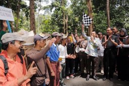 1.100 Petani Ngunduh Getah Damar Di Lampung