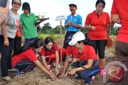 Gianyar Lakukan Gerakan Penanaman Cabai