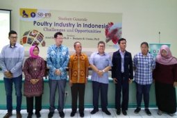 Peternak Rakyat-Perusahaan Besar Solusi Stabilkan Harga Unggas