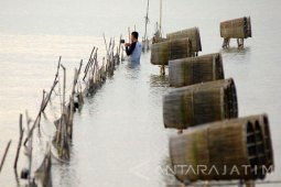 Perangkap Udang