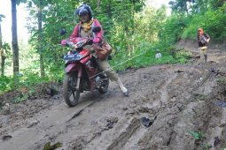 60 Persen Jalan -  Jembatan Di Sintang Rusak