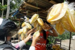 "Carrefour" Berencana Pasarkan Produk Belimbing Bojonegoro