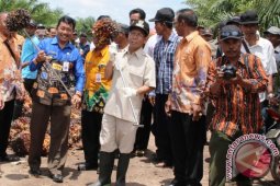Bupati Panen Perdana Kelapa Sawit