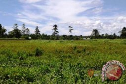 Koramil Bula Siapkan Lahan Program Emas Hijau