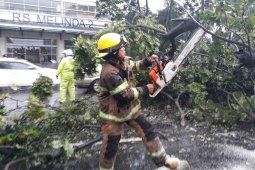 Bandung Antisipasi Pohon Tumbang Jelang Musim Hujan
