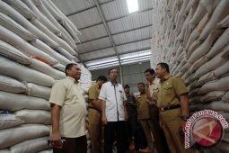 Stok Beras Gorontalo Cukup Untuk Tiga Bulan