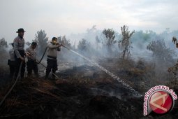 Pemerintah evaluasi regulasi gambut