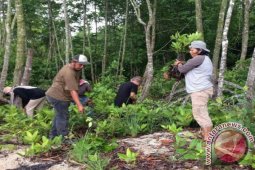 Aktivis  Lingkungan Rehabilitasi Bakau Pesisir Pantai