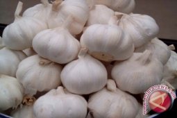 Harga Bawang Putih di Pangkalpinang Naik