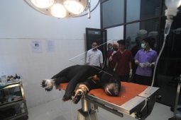 Kodisi Beruang Pascaamputasi