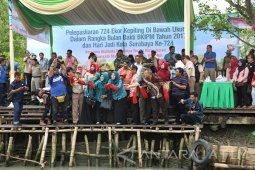 Pemkot-KIPM Lepas Ratusan Kepiting di Kawasan Mangrove Surabaya