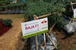 Ewindo Luncurkan Lima Varietas Unggul Sayuran