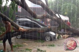 Medan Dilanda Angin Kencang dan Hujan Lebat