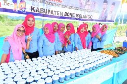 Bone Bolango Promosikan Produk Organik Pinogu