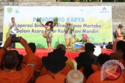 Tambang Mas Martabe Gelar Karya Tani Mandiri