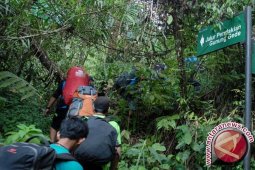 Gara-gara ambil cacing di Gunung Pangarango, pria ini terancam hukuman 10 tahun