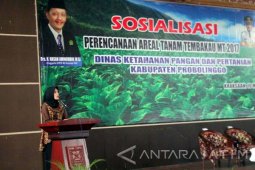 Pemkab Probolinggo Siapkan 2.649 Ha Lahan Pengganti Tembakau