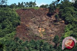 Restorasi Hutan Perlu Kemitraan Multipihak