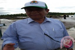 Anggota DPR RI Berharap Babel Kembali Hijau