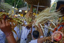 Melihat Uniknya Tradisi Perang "Sampian" di Desa Bedulu (video)