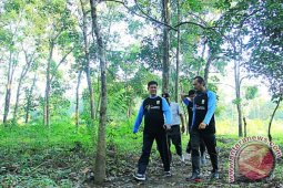 Wisata "tracking" kawasan Candi Muarojambi perlu promosi