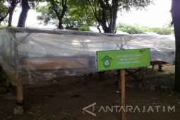Pemkab Situbondo Budi Daya Cacing Tanah di TPA
