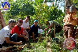 Pemprov Bali Ajak Masyarakat Tanam Pohon