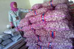 Bawang Putih Jadi Komoditas Terlaris di GSP Jember