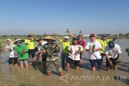 Stok Beras di Bangkalan Aman Jelang Ramadhan