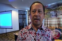 Paser Asuransikan 500 Ekor Ternak Sapi